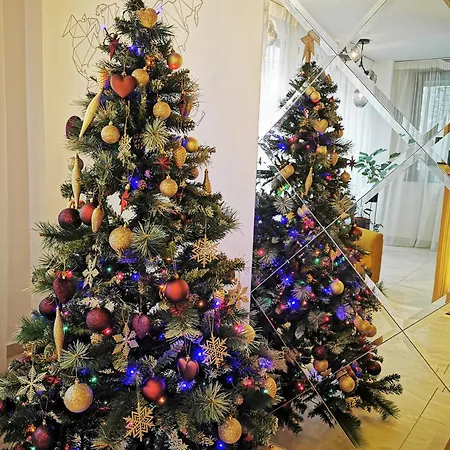 Ymy Boutique 4* Βουκουρέστι